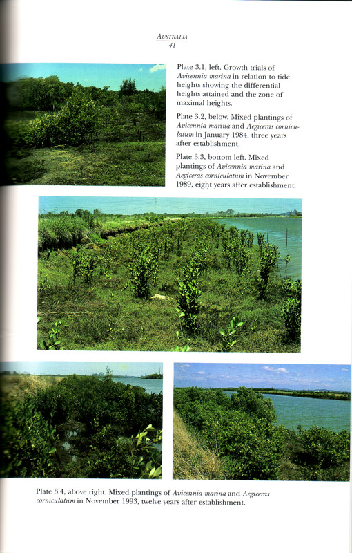 Restoration of Mangrove Ecosystems - aus dem Buch